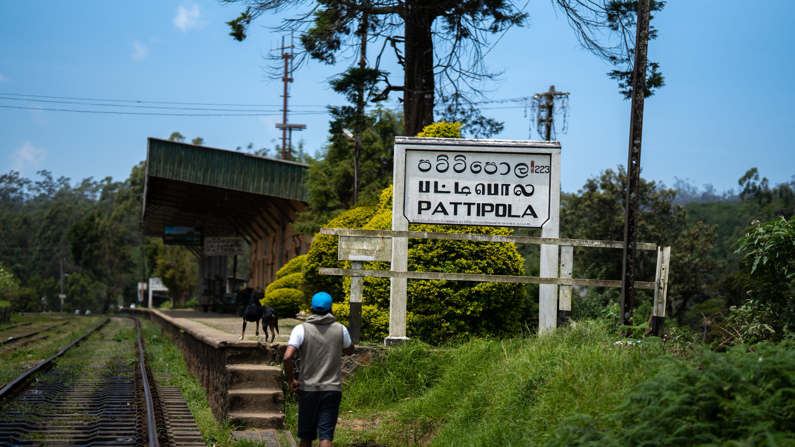 Pattipola Railway station 