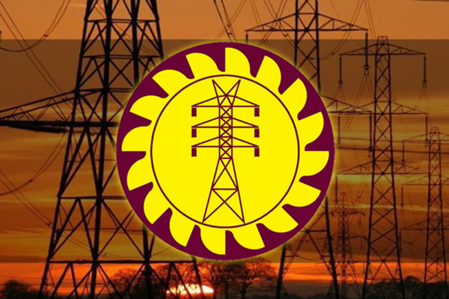 Sri lanka electricity board, ලංකා විදුලි බල මණඩලය, අලි මරණ